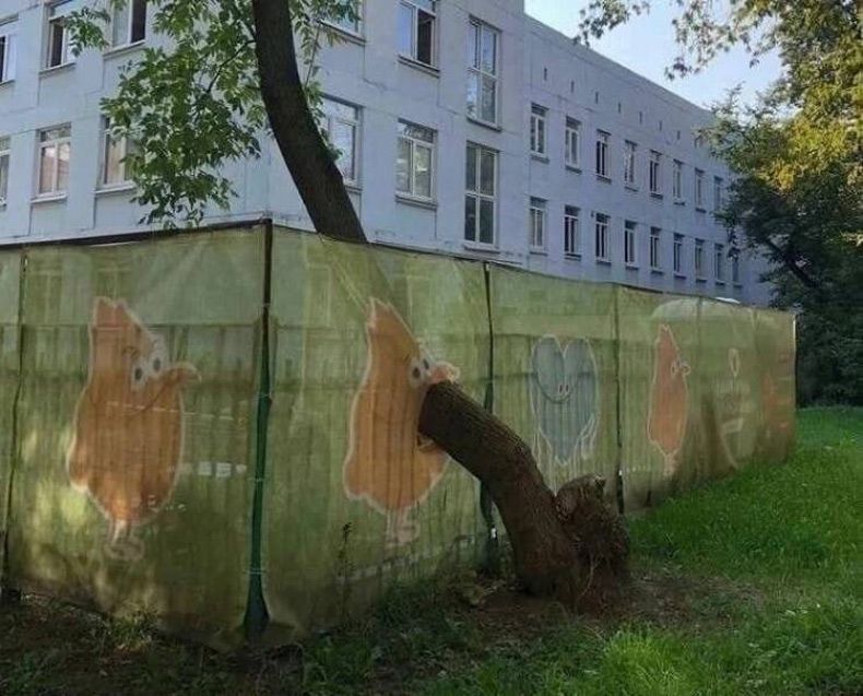 Gewoon een verzameling hilarische foto's #1729