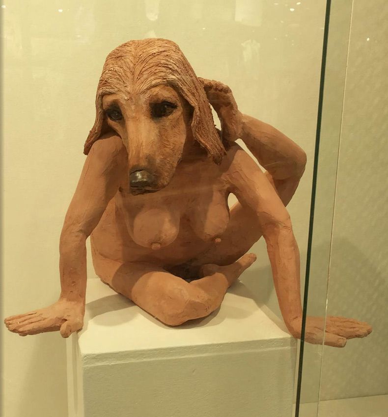 Gewoon een verzameling hilarische foto's #1729