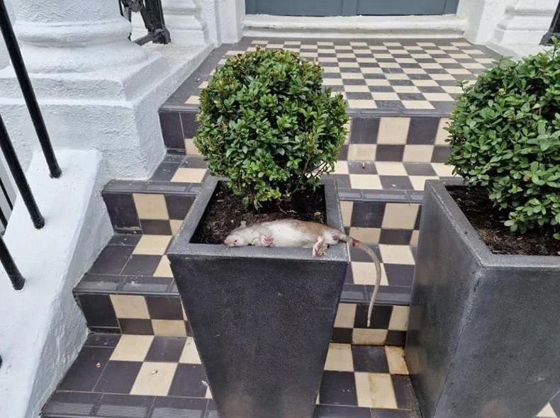 Gewoon een verzameling hilarische foto's #1729