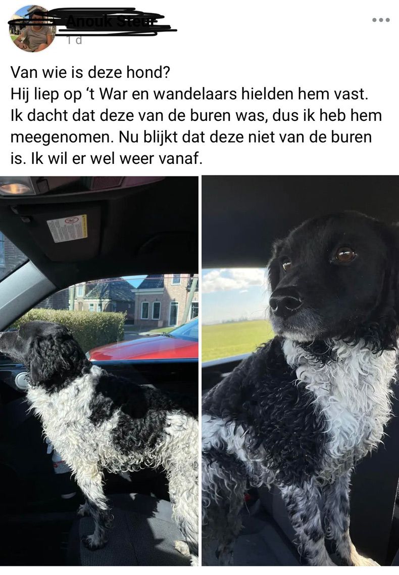 Gewoon een verzameling hilarische foto's #1729