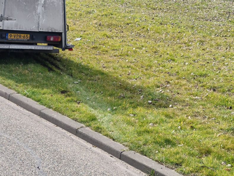 Gewoon een verzameling hilarische foto's #1729