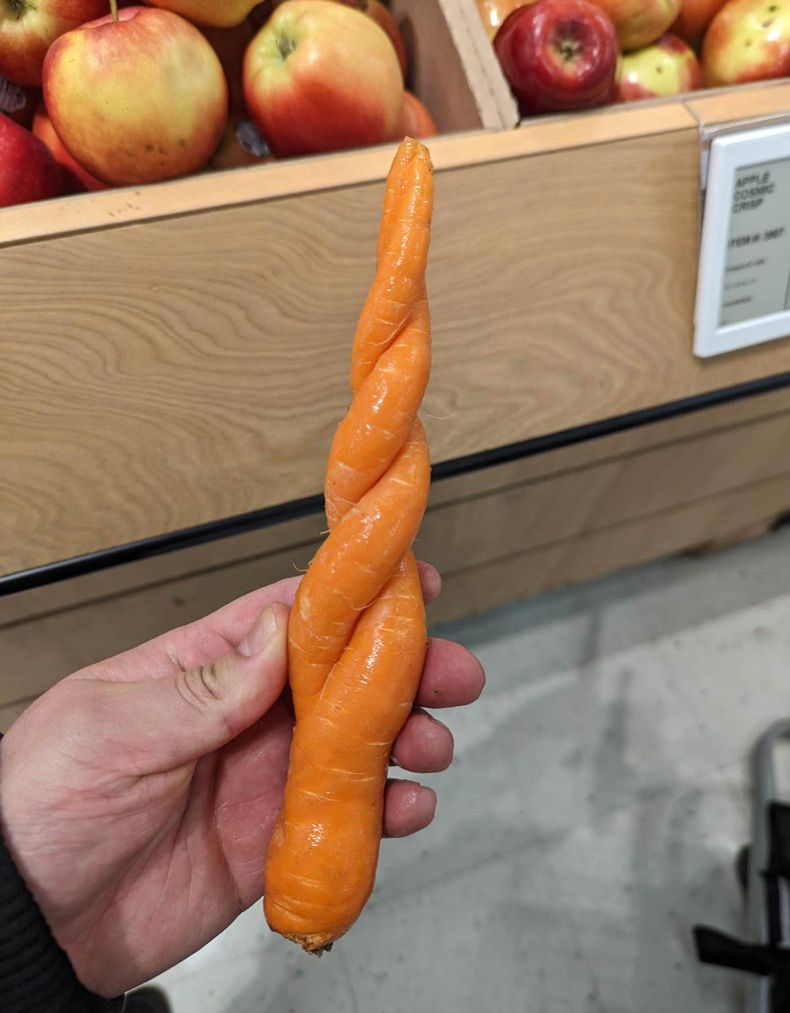 Gewoon een verzameling hilarische foto's #1729