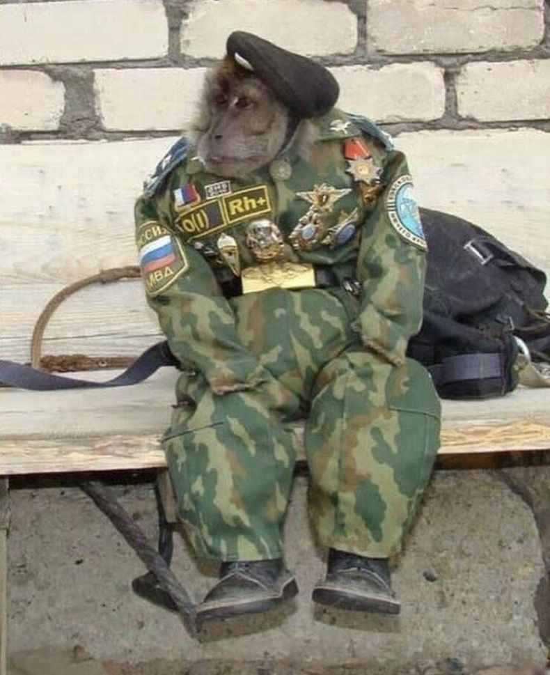 Gewoon een verzameling hilarische foto's #1730
