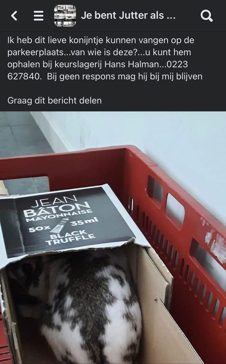 Gewoon een verzameling hilarische foto's #1730