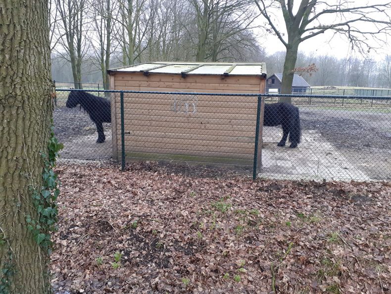 Gewoon een verzameling hilarische foto's #1732