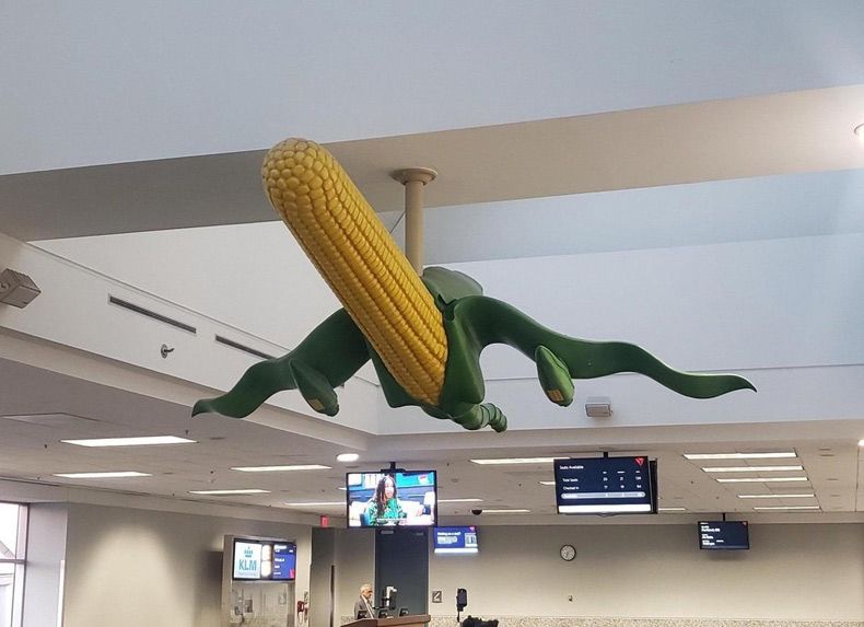 Gewoon een verzameling hilarische foto's #1732