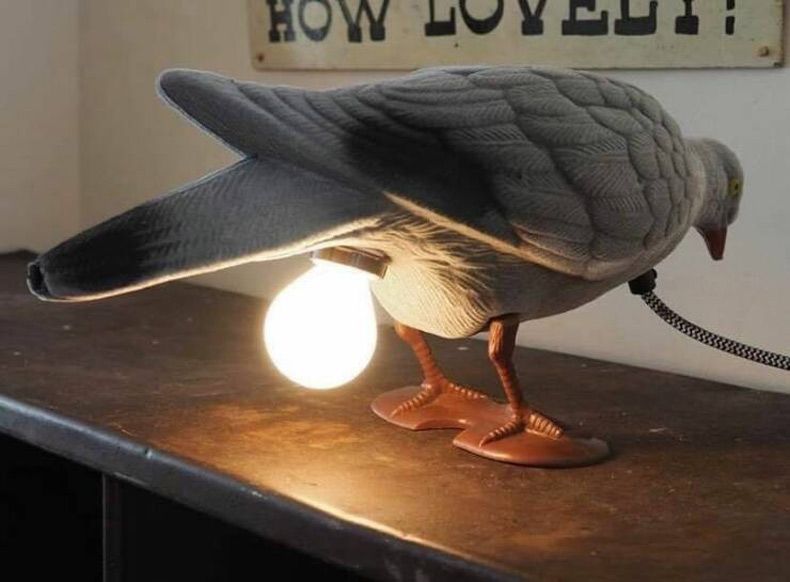 Gewoon een verzameling hilarische foto's #1733