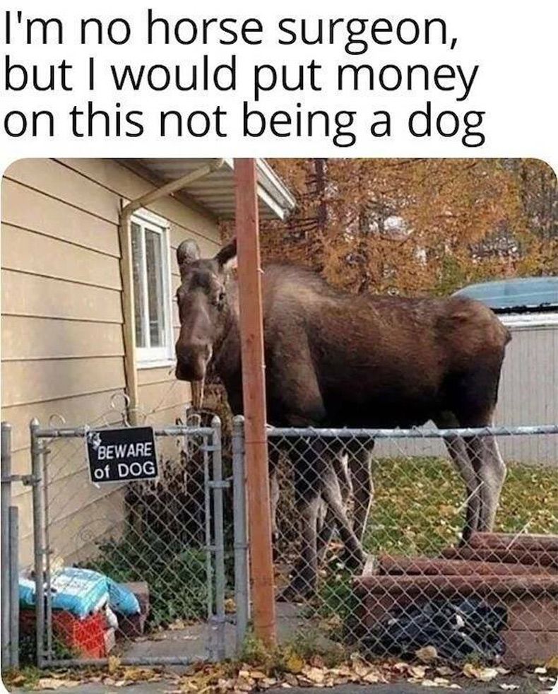 Gewoon een verzameling hilarische foto's #1733