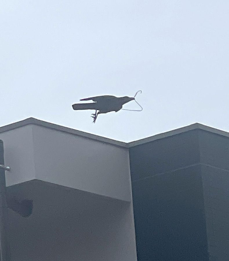 Gewoon een verzameling hilarische foto's #1733