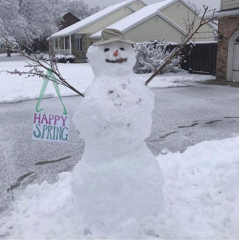 Gewoon een verzameling hilarische foto's #1733