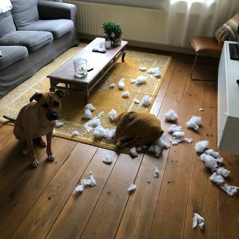 Gewoon een verzameling hilarische foto's #1735