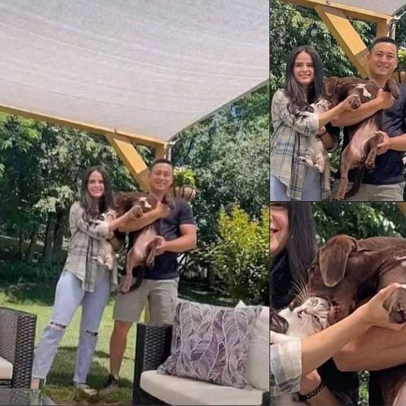Gewoon een verzameling hilarische foto's #1735