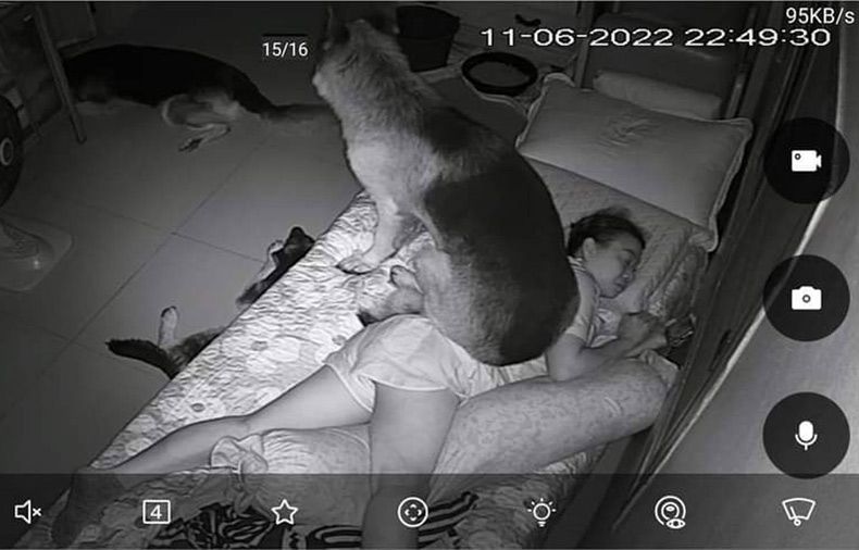Gewoon een verzameling hilarische foto's #1736