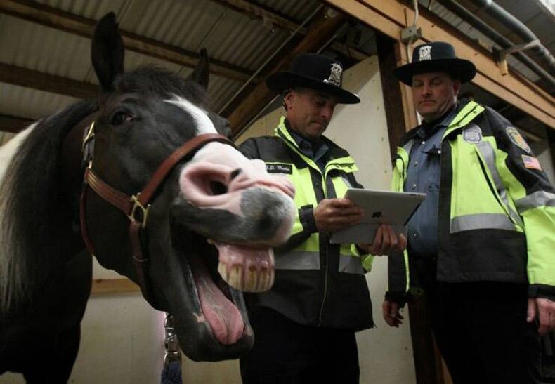 Gewoon een verzameling hilarische foto's #1737