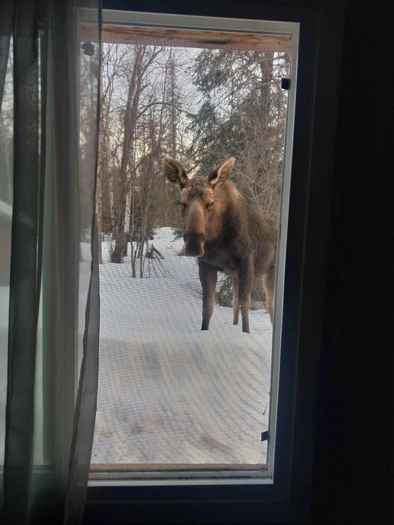 Gewoon een verzameling hilarische foto's #1737