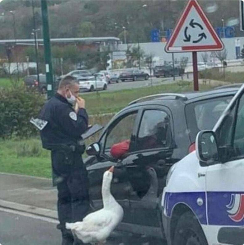 Gewoon een verzameling hilarische foto's #1737