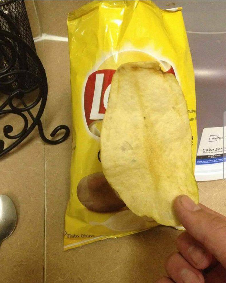 Gewoon een verzameling hilarische foto's #1738