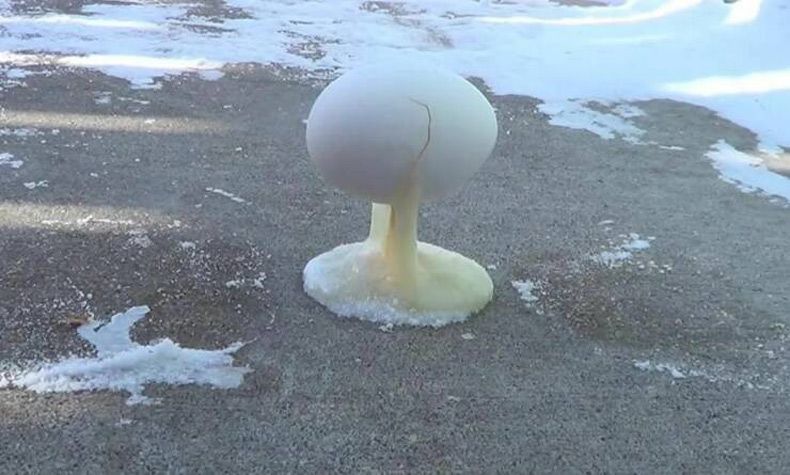 Gewoon een verzameling hilarische foto's #1738