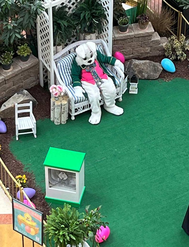 Gewoon een verzameling hilarische foto's #1738