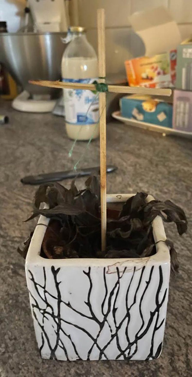 Gewoon een verzameling hilarische foto's #1738