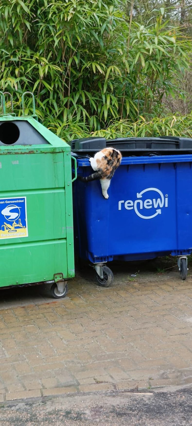 Gewoon een verzameling hilarische foto's #1738