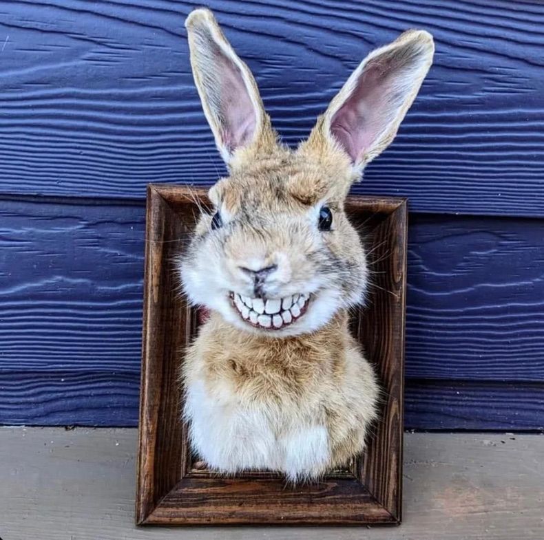 Gewoon een verzameling hilarische foto's #1738