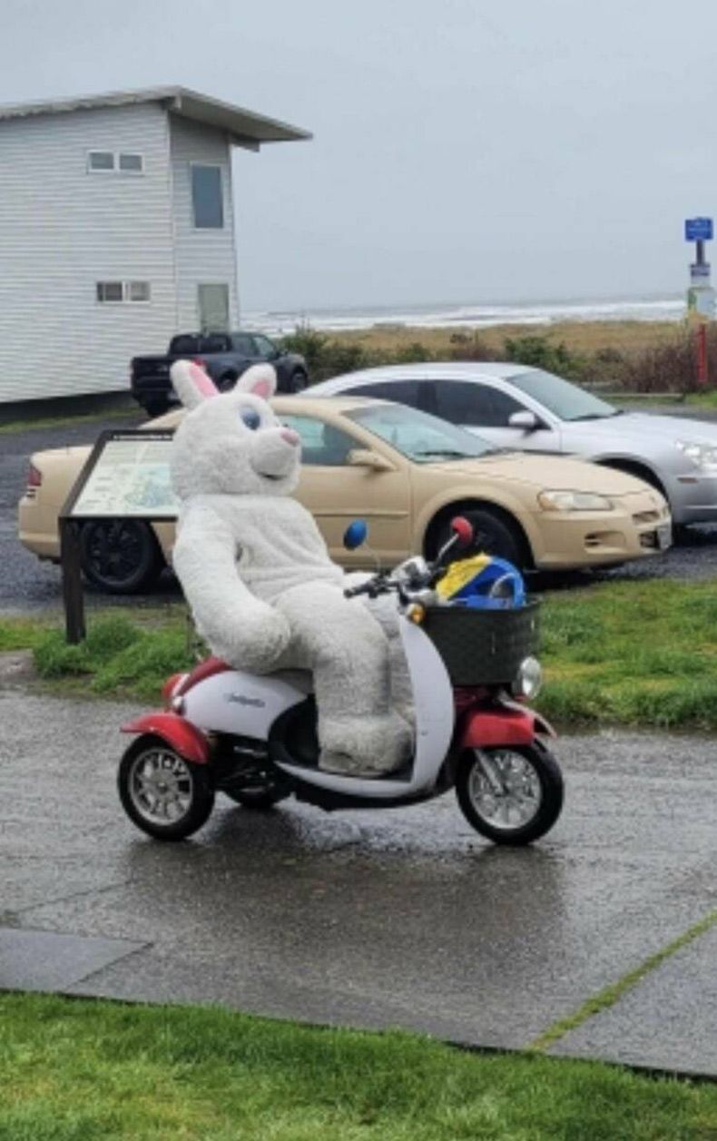 Gewoon een verzameling hilarische foto's #1740