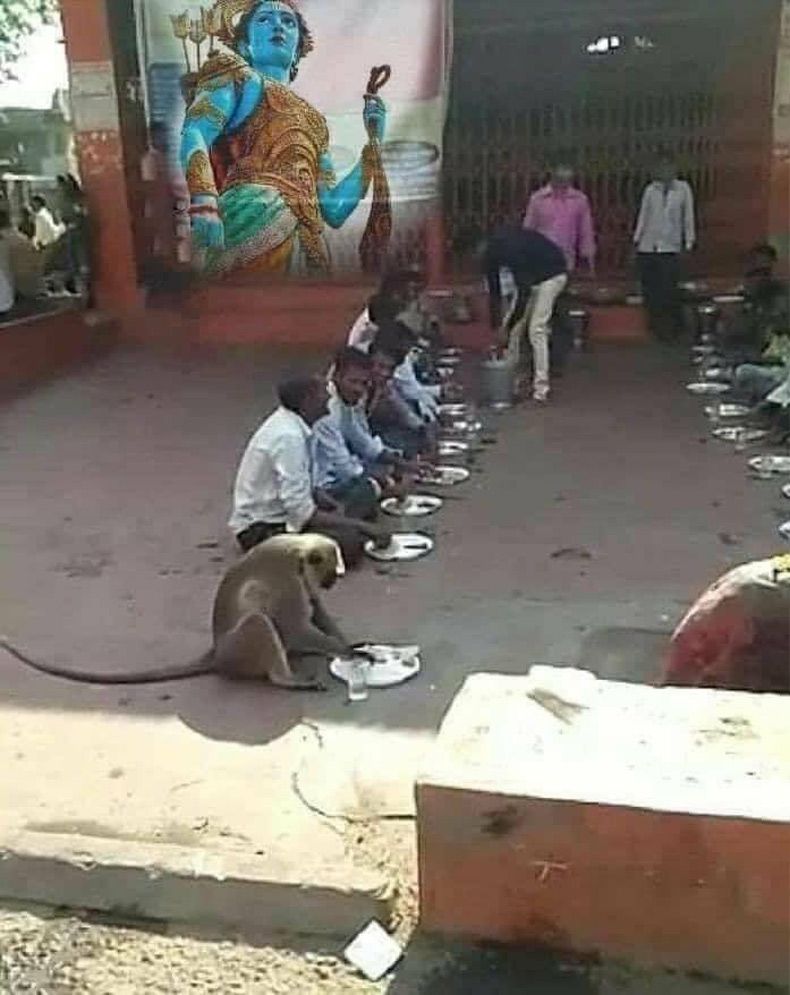 Gewoon een verzameling hilarische foto's #1740