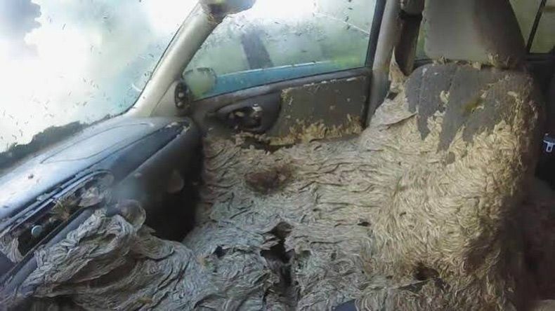 Gewoon een verzameling hilarische foto's #1740