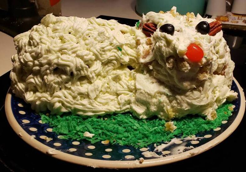 Gewoon een verzameling hilarische foto's #1740