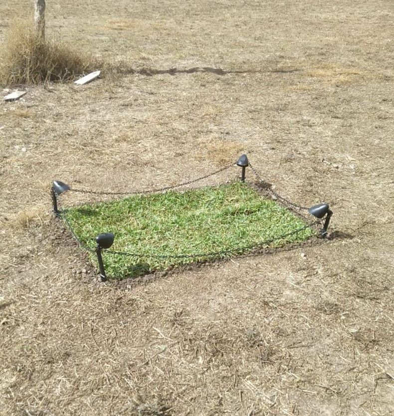 Gewoon een verzameling hilarische foto's #1740