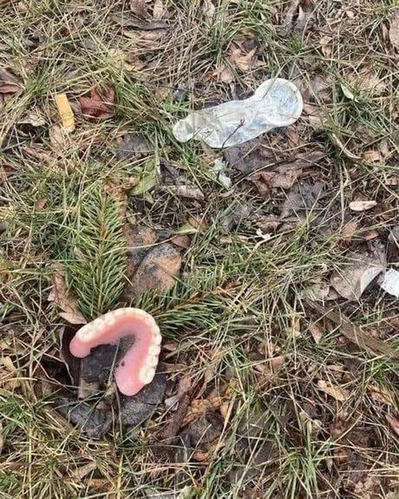 Gewoon een verzameling hilarische foto's #1740