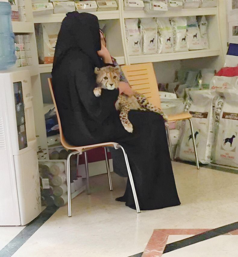 Gewoon een verzameling hilarische foto's #1740