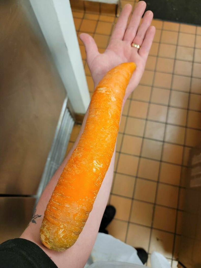 Gewoon een verzameling hilarische foto's #1741