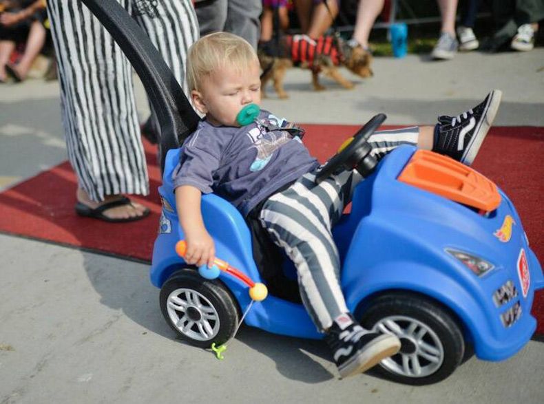 Gewoon een verzameling hilarische foto's #1741