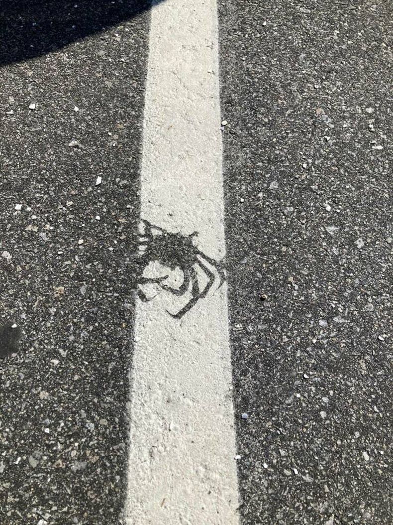 Gewoon een verzameling hilarische foto's #1743