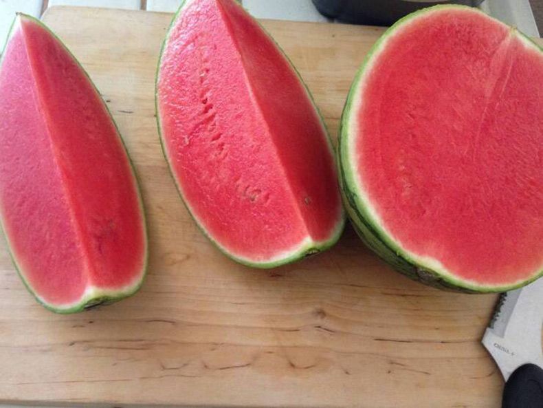 Gewoon een verzameling hilarische foto's #1743