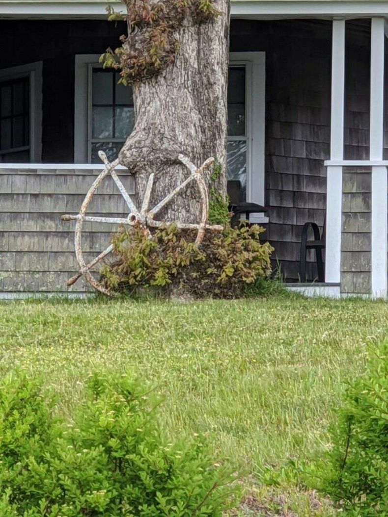 Gewoon een verzameling hilarische foto's #1743