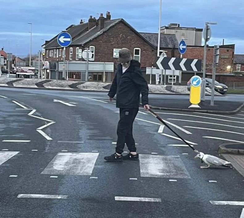 Gewoon een verzameling hilarische foto's #1743