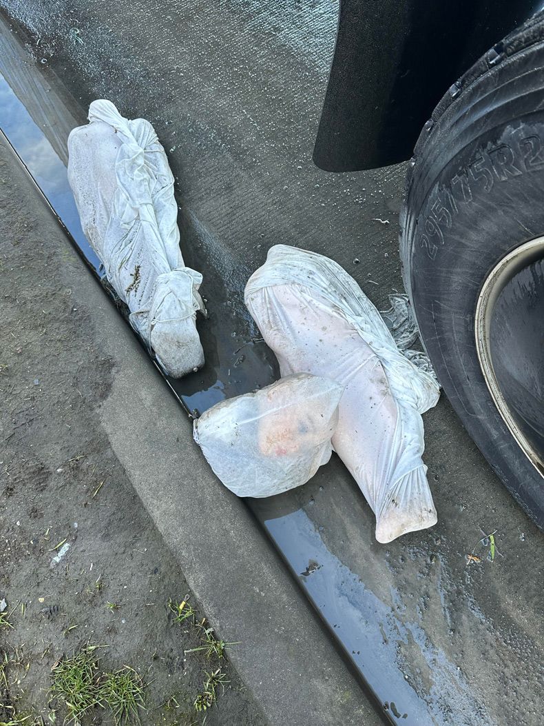 Gewoon een verzameling hilarische foto's #1743