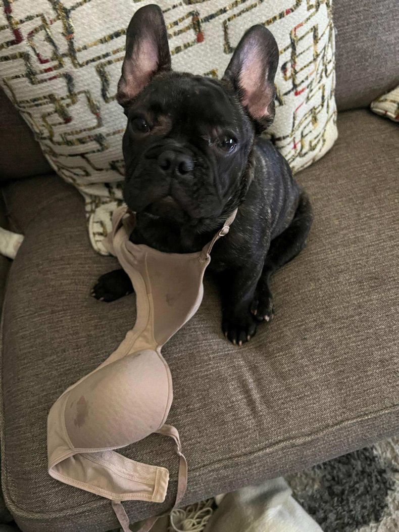 Gewoon een verzameling hilarische foto's #1743