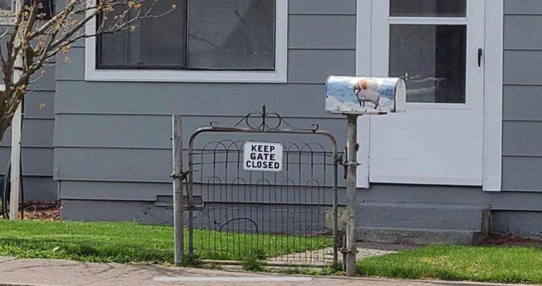 Gewoon een verzameling hilarische foto's #1743