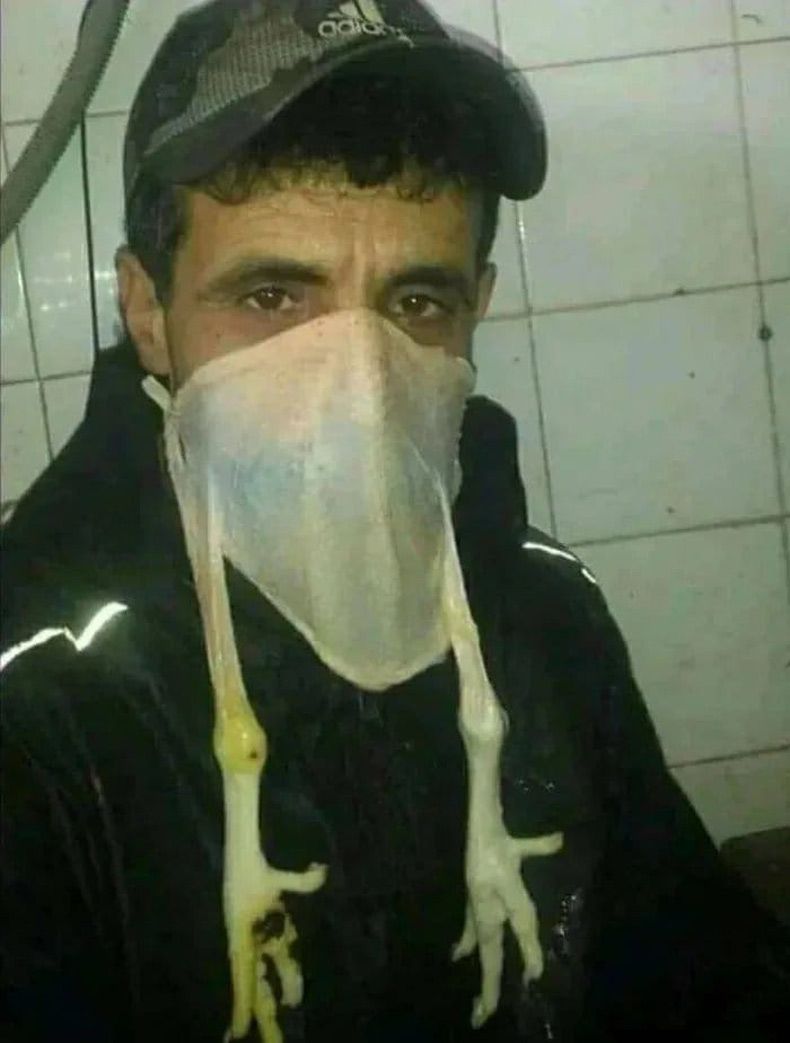 Gewoon een verzameling hilarische foto's #1743