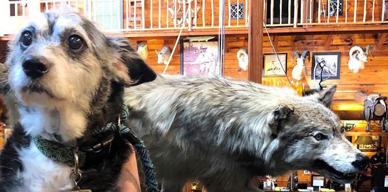 Gewoon een verzameling hilarische foto's #1743