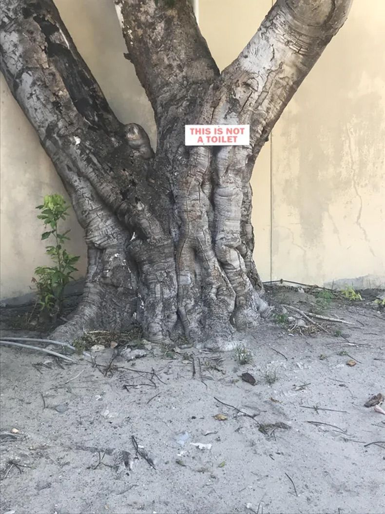 Gewoon een verzameling hilarische foto's #1744