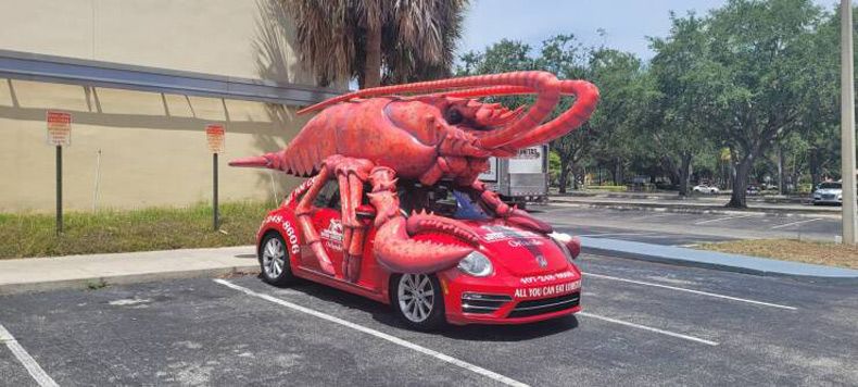 Gewoon een verzameling hilarische foto's #1744