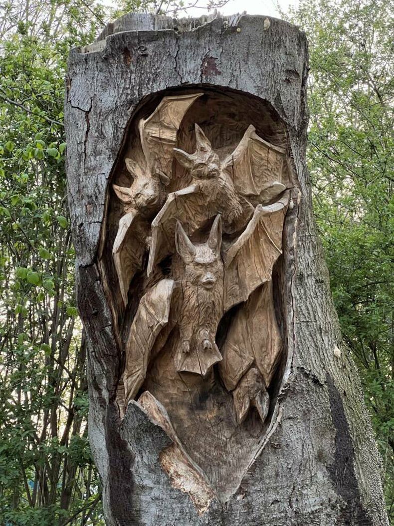 Gewoon een verzameling hilarische foto's #1744