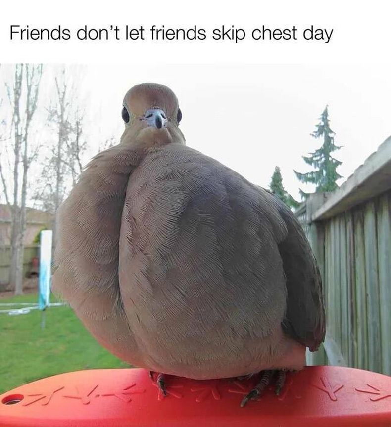 Gewoon een verzameling hilarische foto's #1744