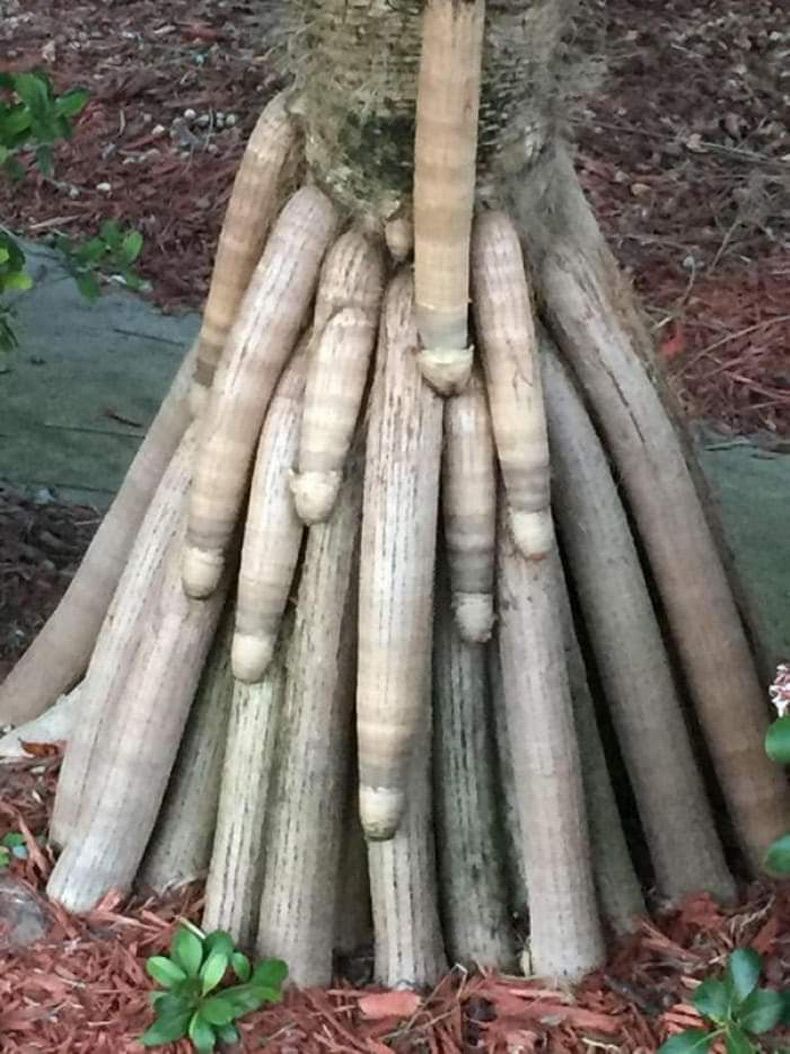 Gewoon een verzameling hilarische foto's #1744