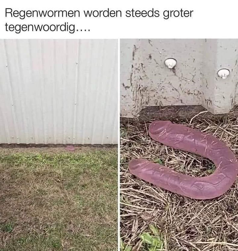 Gewoon een verzameling hilarische foto's #1744